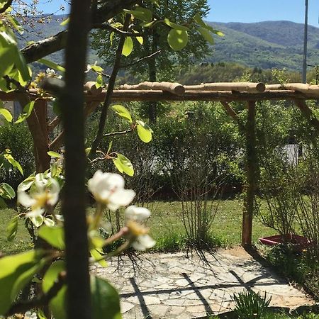 Bed and Breakfast Bb Andre' Vara Superiore Exterior foto